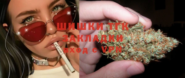 соль ск Липки