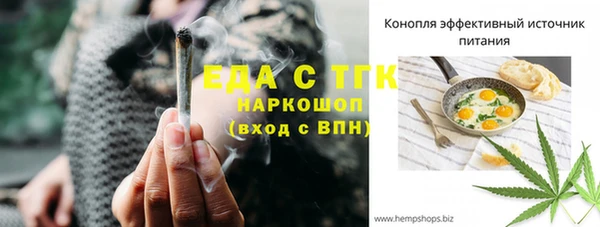 индика Лихославль