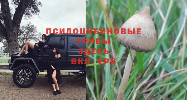 крисы Ладушкин