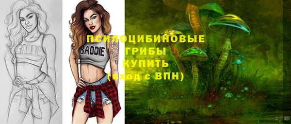 индика Лихославль