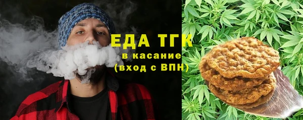 индика Лихославль