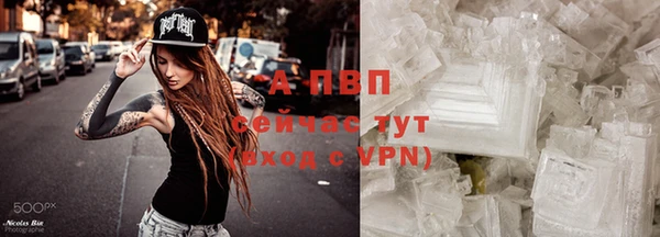 соль ск Липки