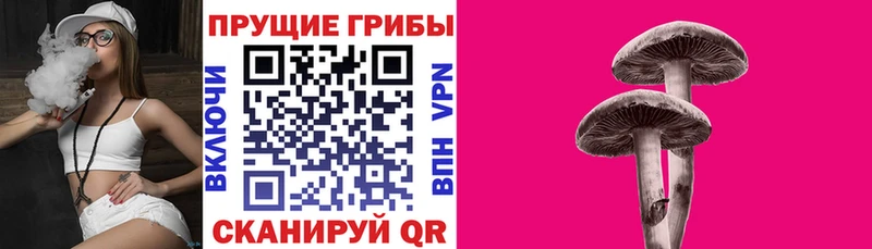 Псилоцибиновые грибы ЛСД Сухой Лог